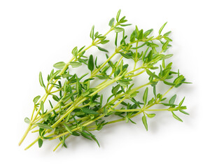 Thyme isolated on white background. Thyme herb top view. Macro.