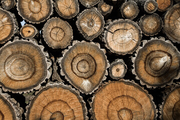 sawed wood folded into a row