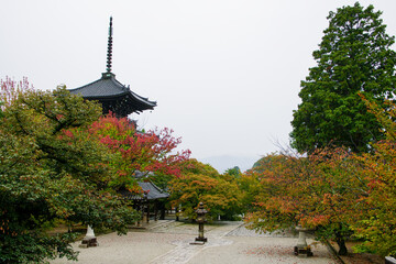 秋の気配が漂う真如堂の境内