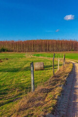 landscape in the countryside