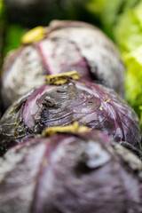 closeup of purple cabbage vegetable