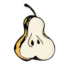 Hand drawn pear illustration isolated on white background.