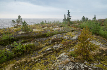 Fototapeta na wymiar In the skerries of Lake Ladoga