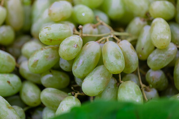 Delicious looking bunch of Grapes tasty Fruit