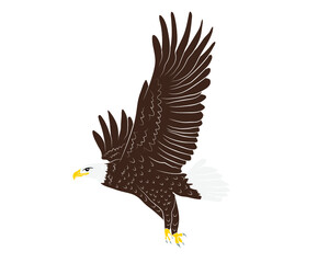 Cartoon flying wild eagle in isolate on a white background. Vector illustration.