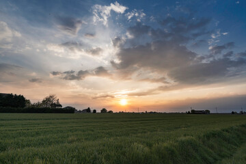 Fototapeta premium sunset over the field