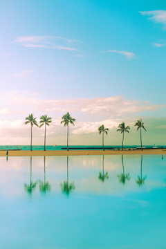 Palm Trees Reflected in Turquoise Water Hawaii