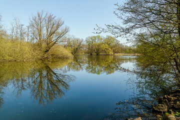 Obraz premium Frühling in Hermann-Löns-Park Hannover