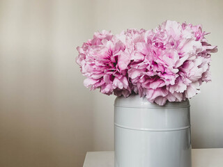 Beautiful bouquet of fresh pink peony flowers in full bloom in vase against white wall background. Copy space. Still life with summer blossoms.