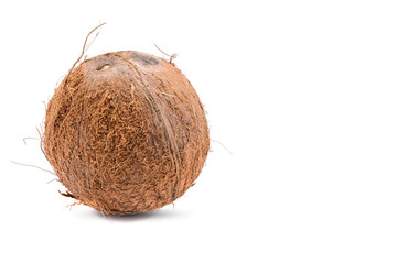 One coconut isolated on a white background. tropical fruit.Selective focus.