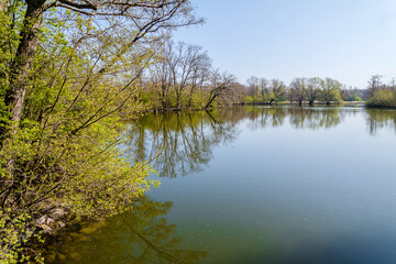 Obraz premium Frühling in Hermann-Löns-Park Hannover