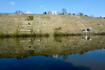 rock gardens on the neckar river near stuttgart