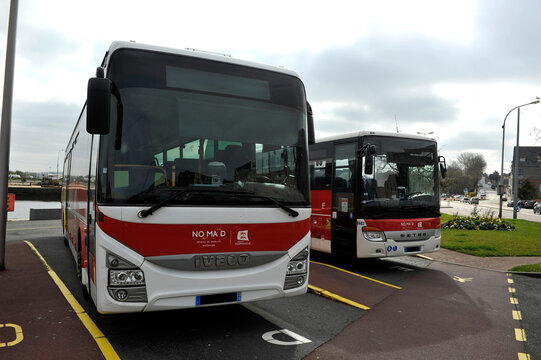 bus