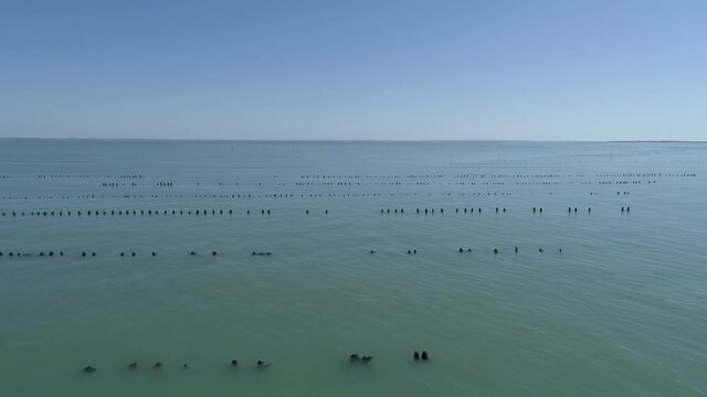 Oyster cage pouch markers near the coastline of Boyardville in Oleron island France, Aerial orbit around shot