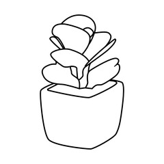 line style illustration of potted succulent plant 