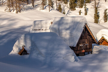Mountain pasture Dedno polje in winter time	