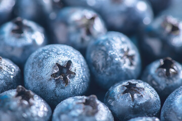 Fresh ripe blueberries with drops of dew