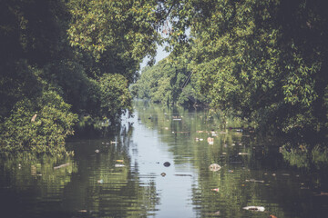 Garbage and dirt in the river.