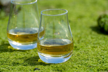 Tasting of single malt or blended Scotch whisky and seabed at low tide with green algae and stones on background, private whisky tours in Scotland, UK