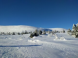 Fototapeta na wymiar winter landscape with snow and sun and blue sky