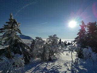 winter landscape with snow and sun and blue sky