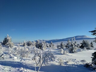 winter landscape with snow and sun and blue sky