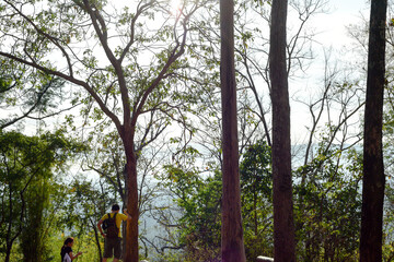 Loei Province Thailand Phu Kradueng National Park. Is one of the attractions of the most famous of...