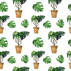 Monstera plant in pot in seamless pattern on white background. Watercolor hand drawing plant in pot. Perfect for wrapping.