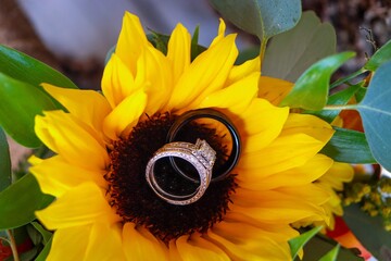 sunflower and rings