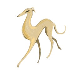 print beige greyhound walks very proudly forward
