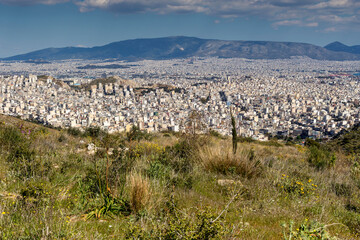 Fototapeta na wymiar Panoramic view of the city of Athens (Greece)