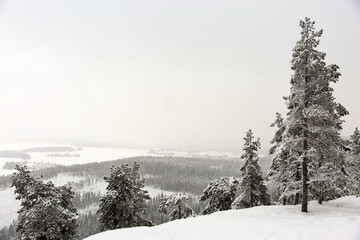 winter landscape in the mountains