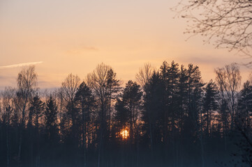 Sunset in the orange sky behind the silhouette of forest