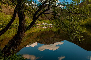 Fototapeta na wymiar River reflection with houses and tree