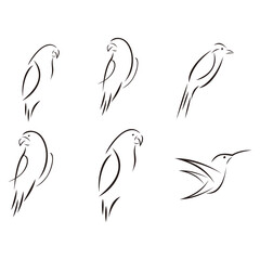 Bird set, vector illustration. Line art.