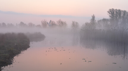 Foggy dawn in the Dutch countryside near a windmill.