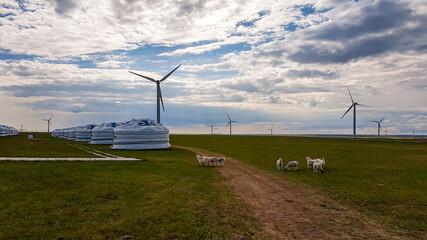 A few white, traditional yurts located on a pasture in Xilinhot in Inner Mongolia. Endless...