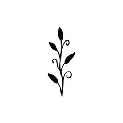 Vector illustration of leaves and branches drawn in ink by hand. Isolated botanical element black on a white background. Wild forest plant. Design for label, logo, template, print, card, icons.