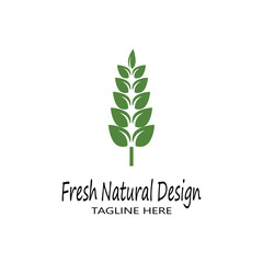 Mint leaves flat vector color icon template illustration design