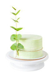 green cake decorated with a branch of eucalyptus isolated on a white background