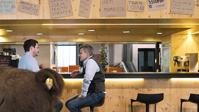 Llama walking past two talking businessmen in an office cafeteria.