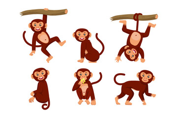Set of monkey various pose character design illustration © Guavanaboy