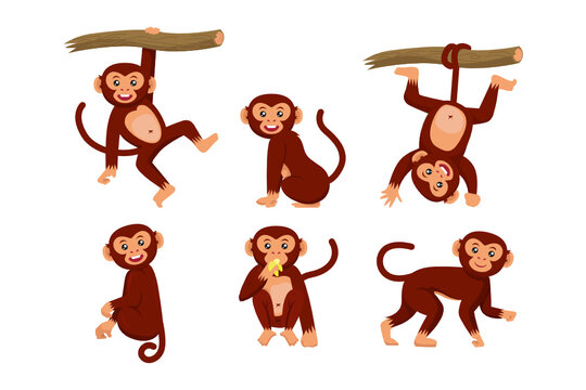 Set of monkey various pose character design illustration