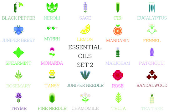 A set of essential oil plants. Images for massage, Ayurveda, cosmetics, spa, homeopathy. Collection of flowers and herbs. Part two.
