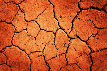 Dry Cracked Arid Ground Dirt Texture