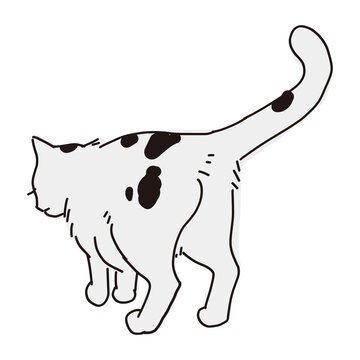 603 最適な 子猫の後ろ姿 画像 ストック写真 ベクター Adobe Stock