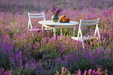 Fototapety  Biały drewniany stół i dwa krzesła, ozdobione świeżymi pysznymi rogalikami i szklanym wazonem z bukietem lawendy. Piękna ozdoba na randkę w lawendowym polu pełnym kwitnących fioletowych kwiatów.