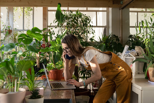 Busy entrepreneur woman, female gardener work on laptop, order plants by phone in home garden. Young businesswoman in jumpsuit check document on computer, speak on mobile in office full of houseplants