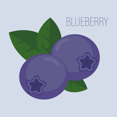 Two blueberries with leaves on a blue background