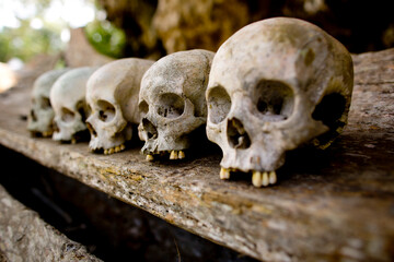 Sculls and bones in burial site in Rentepao, Sulawesi, Indonesia